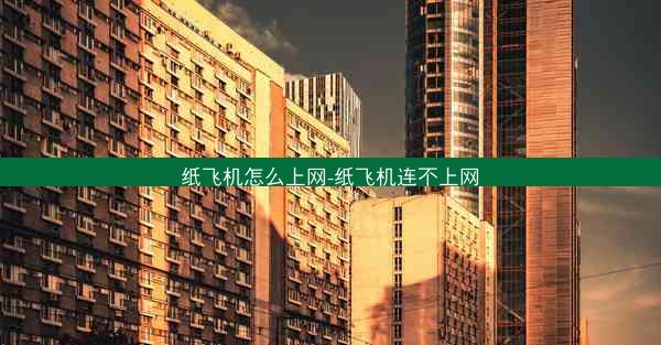 纸飞机怎么上网-纸飞机连不上网