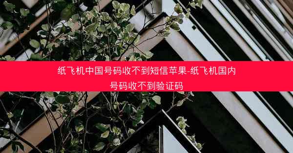 纸飞机中国号码收不到短信苹果-纸飞机国内号码收不到验证码