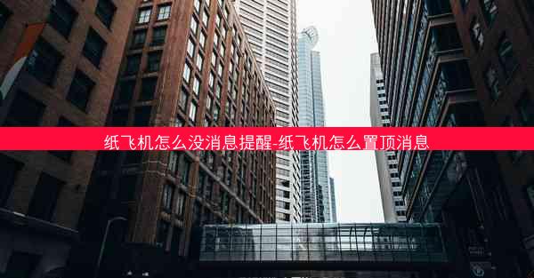 纸飞机怎么没消息提醒-纸飞机怎么置顶消息