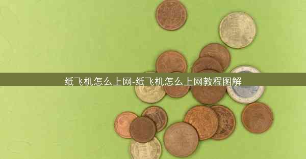 纸飞机怎么上网-纸飞机怎么上网教程图解