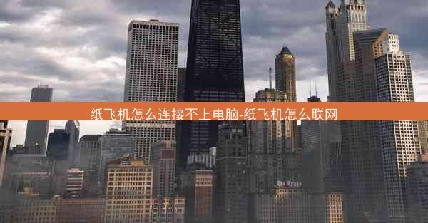 纸飞机怎么连接不上电脑-纸飞机怎么联网