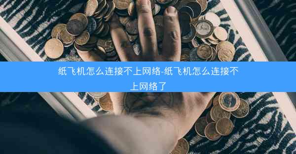 纸飞机怎么连接不上网络-纸飞机怎么连接不上网络了