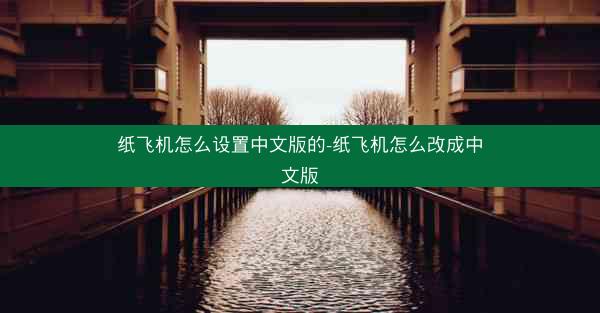 纸飞机怎么设置中文版的-纸飞机怎么改成中文版