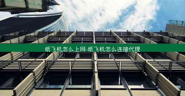 纸飞机怎么上网-纸飞机怎么连接代理