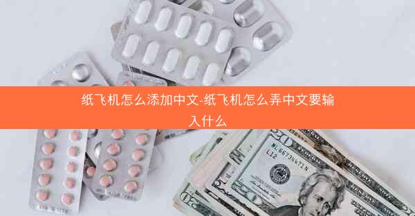 纸飞机怎么添加中文-纸飞机怎么弄中文要输入什么