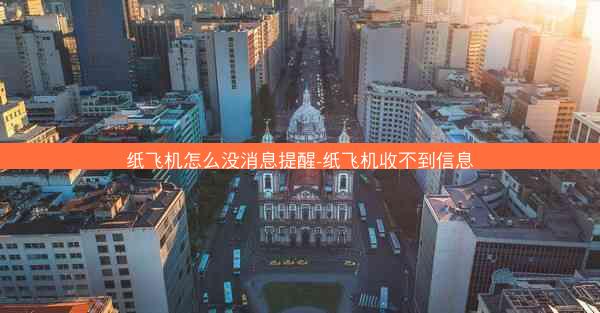 纸飞机怎么没消息提醒-纸飞机收不到信息