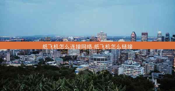 纸飞机怎么连接网络-纸飞机怎么链接