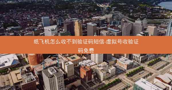 纸飞机怎么收不到验证码短信-虚拟号收验证码免费