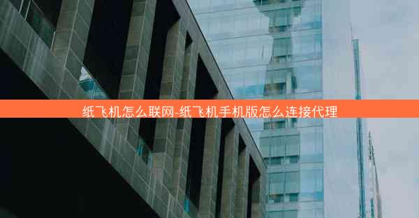 纸飞机怎么联网-纸飞机手机版怎么连接代理