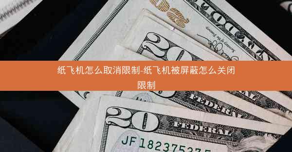 纸飞机怎么取消限制-纸飞机被屏蔽怎么关闭限制