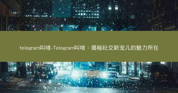 telegram叫啥-Telegram叫啥：揭秘社交新宠儿的魅力所在