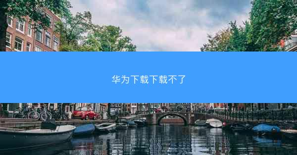 华为下载下载不了