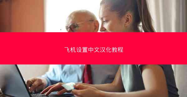 飞机设置中文汉化教程