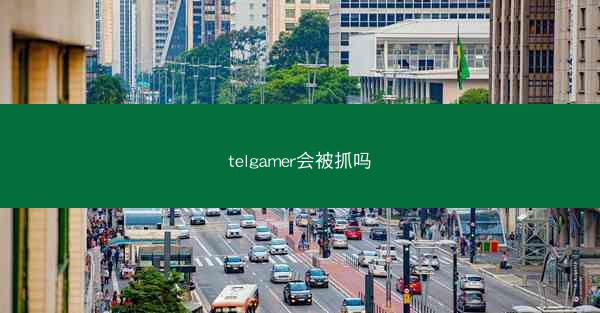 telgamer会被抓吗