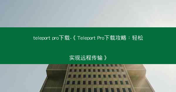 teleport pro下载-《Teleport Pro下载攻略：轻松实现远程传输》