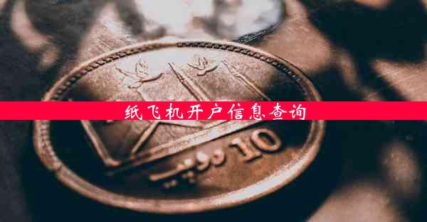 纸飞机开户信息查询
