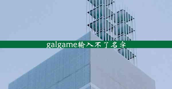 galgame输入不了名字