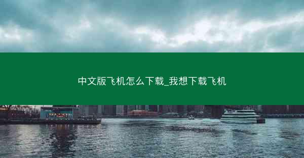 中文版飞机怎么下载_我想下载飞机