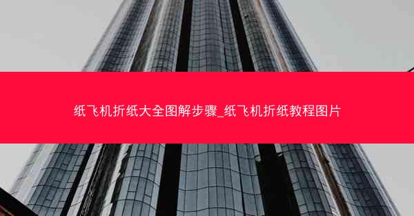 纸飞机折纸大全图解步骤_纸飞机折纸教程图片