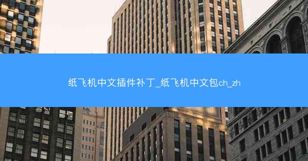 纸飞机中文插件补丁_纸飞机中文包ch_zh