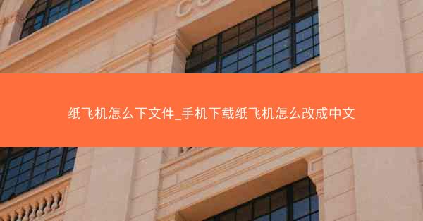 纸飞机怎么下文件_手机下载纸飞机怎么改成中文