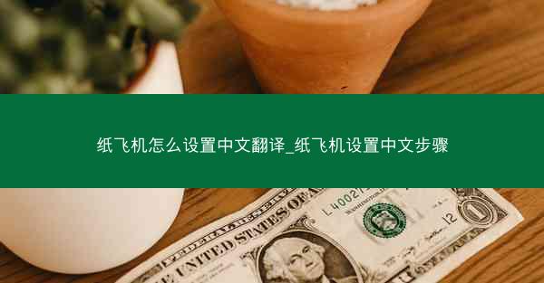 纸飞机怎么设置中文翻译_纸飞机设置中文步骤