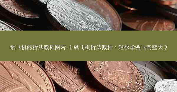 纸飞机的折法教程图片-《纸飞机折法教程：轻松学会飞向蓝天》