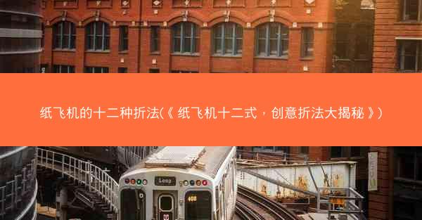 纸飞机的十二种折法(《纸飞机十二式，创意折法大揭秘》)