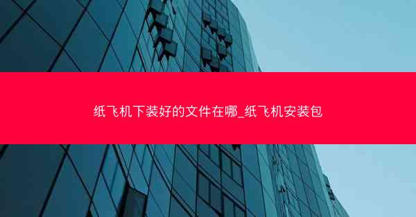 纸飞机下装好的文件在哪_纸飞机安装包