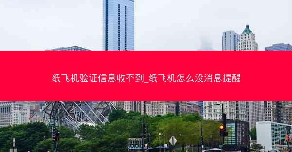 纸飞机验证信息收不到_纸飞机怎么没消息提醒