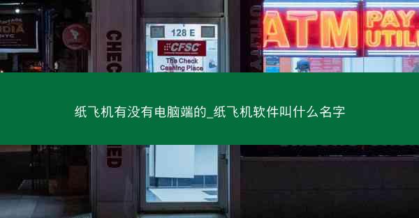 纸飞机有没有电脑端的_纸飞机软件叫什么名字