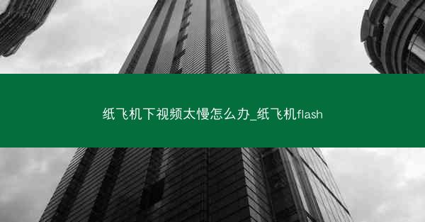 纸飞机下视频太慢怎么办_纸飞机flash