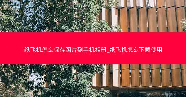 纸飞机怎么保存图片到手机相册_纸飞机怎么下载使用