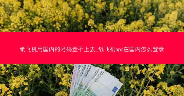 纸飞机用国内的号码登不上去_纸飞机app在国内怎么登录