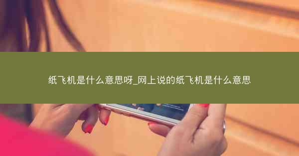 纸飞机是什么意思呀_网上说的纸飞机是什么意思