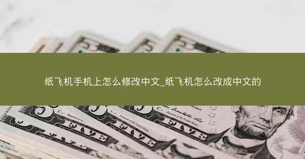 纸飞机手机上怎么修改中文_纸飞机怎么改成中文的