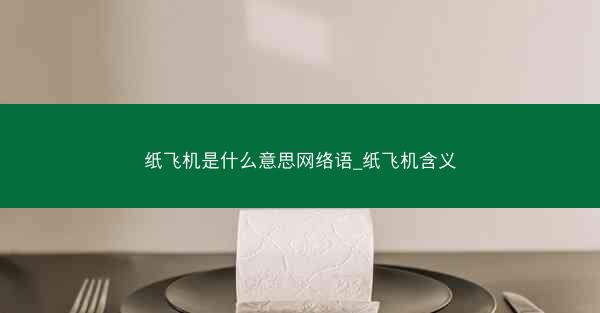 纸飞机是什么意思网络语_纸飞机含义
