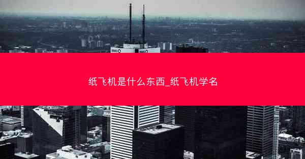 纸飞机是什么东西_纸飞机学名