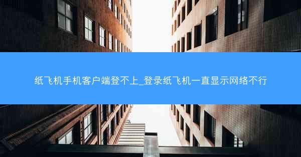 纸飞机手机客户端登不上_登录纸飞机一直显示网络不行