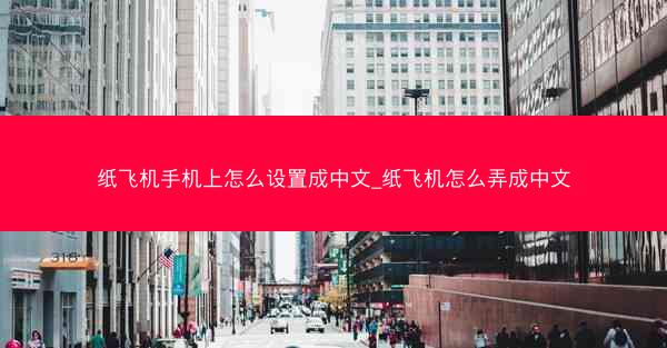 纸飞机手机上怎么设置成中文_纸飞机怎么弄成中文
