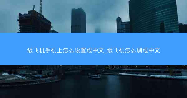 纸飞机手机上怎么设置成中文_纸飞机怎么调成中文