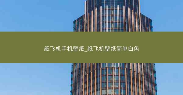 纸飞机手机壁纸_纸飞机壁纸简单白色