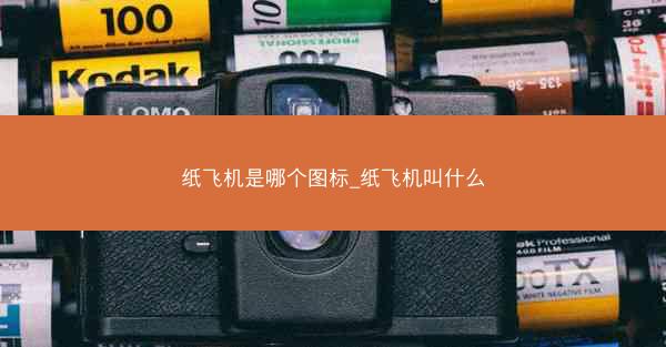 纸飞机是哪个图标_纸飞机叫什么