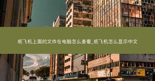 纸飞机上面的文件在电脑怎么查看_纸飞机怎么显示中文