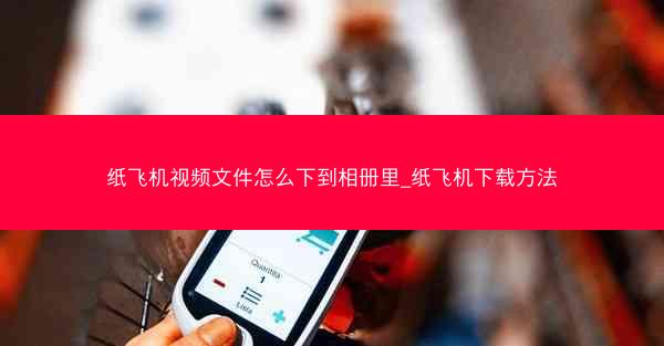 纸飞机视频文件怎么下到相册里_纸飞机下载方法