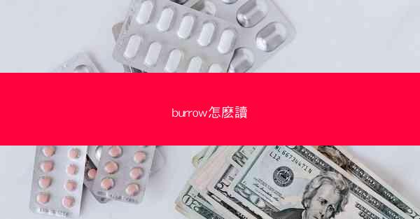 burrow怎麽讀