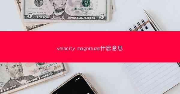 velocity magnitude什麽意思