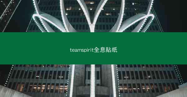 teamspirit全息贴纸
