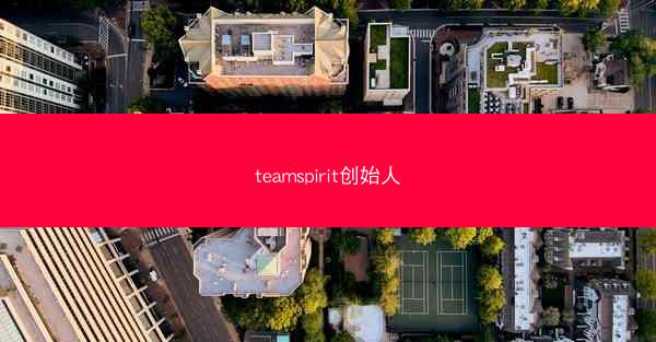 teamspirit创始人