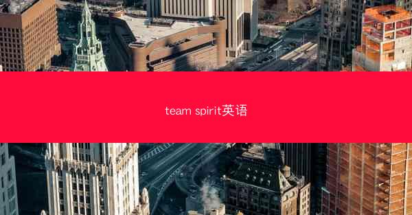 team spirit英语